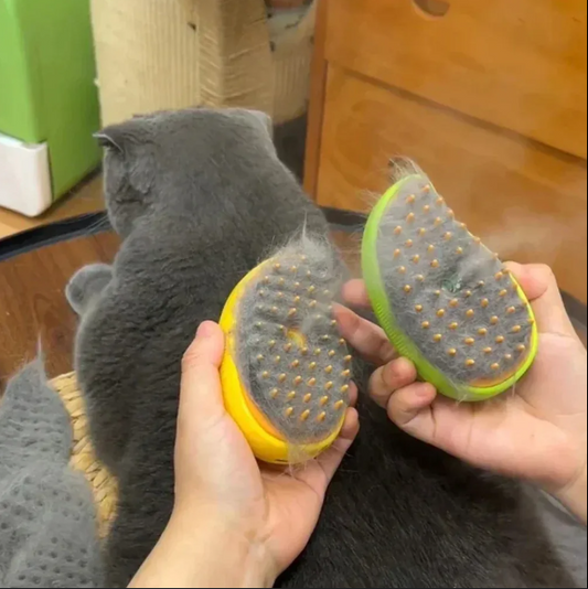 🎁 Cepillo vapor para  mascota